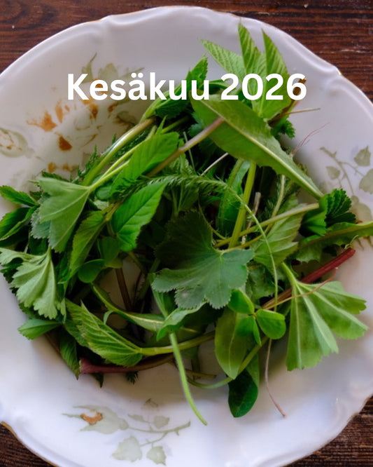 Villiyrttien keräyskurssi luomutilalla Tuusulassa LA 13.6.2026 KLO 12